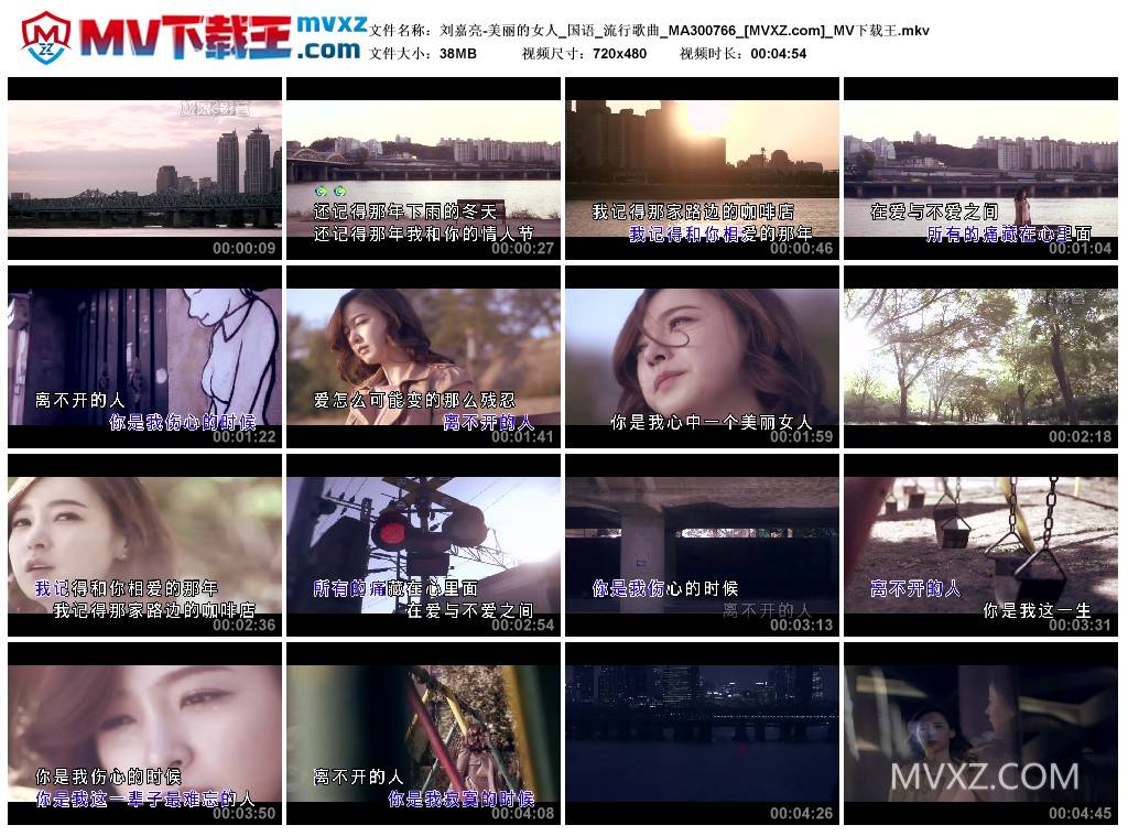 刘嘉亮-美丽的女人_国语_流行歌曲_MA300766